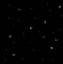 [fondo]